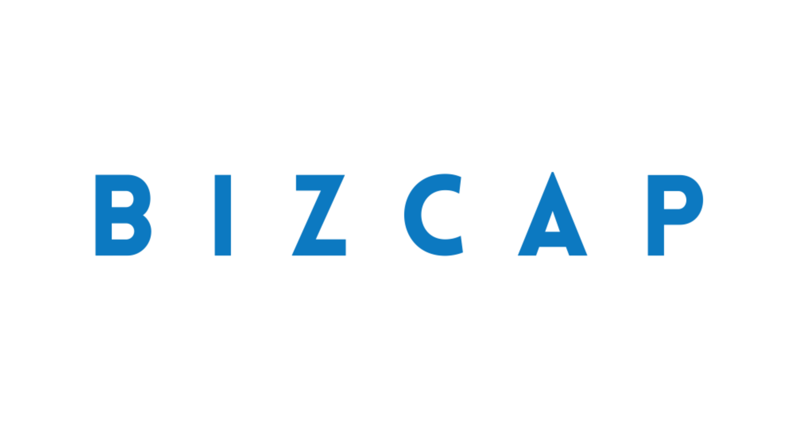 BIZCAP